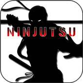 Ninjutsu Training