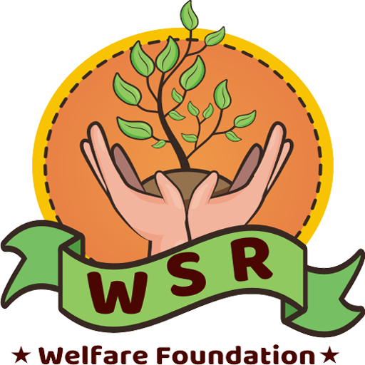 WSR System icon