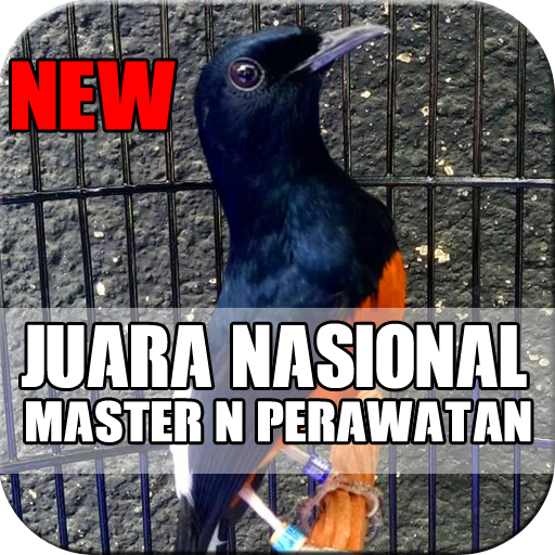 Master Murai Batu Super 2020 icon