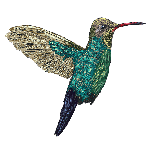 Gifs para Whatsapp icon