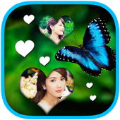 Butterfly Frames 360 icon