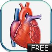 Blood Pressure lite on 9Apps