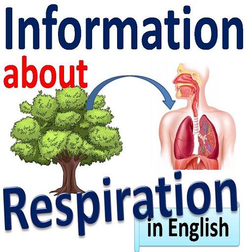 The Respiratory System - English icon