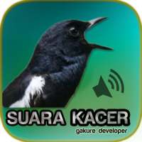 Kacer Gacor Masteran on 9Apps