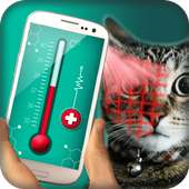 Body thermometer simulator