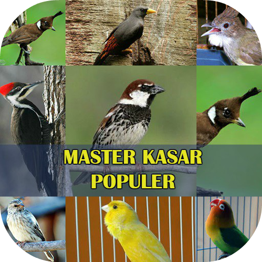 Master Burung Kasar Populer icon