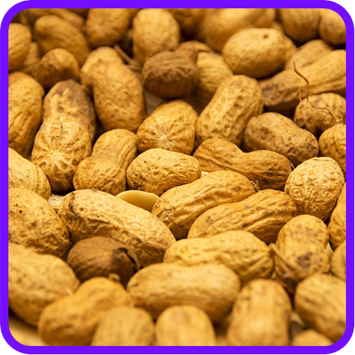 Peanut Recipes: Peanut butter recipes icon