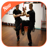 Wing Chun Kung Fu icon