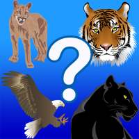 4 pics 1 word : The Odd One Out