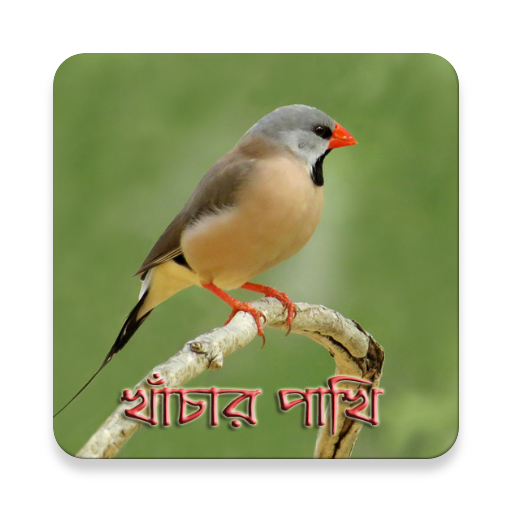 Birds Care icon