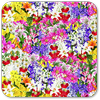 Beautiful Flowers Wallpaper أيقونة