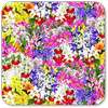 Beautiful Flowers Wallpaper on 9Apps