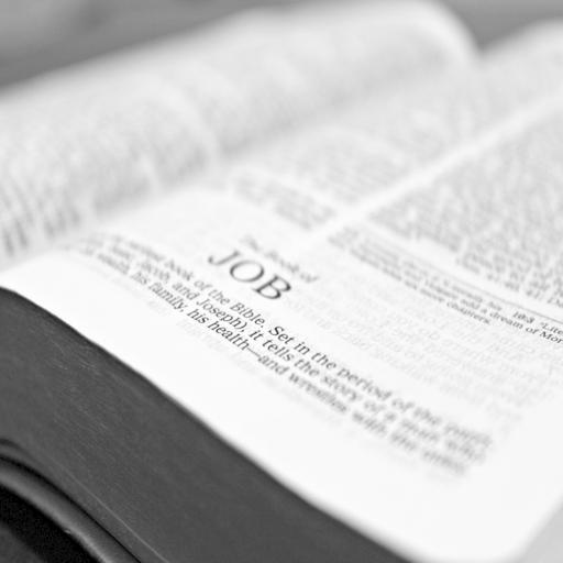 King James Bible Trivia icon