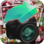 Photo Image Sites icon