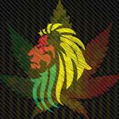 Best Music Reggea Rasta on 9Apps