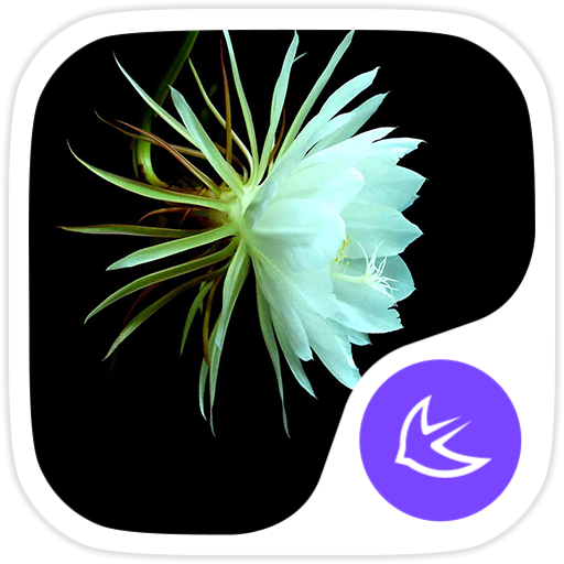 Flowers theme for APUS icon