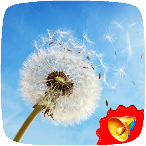 Wind Sounds &amp; Ringtones icon