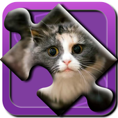 Cute Cats Puzzle icon