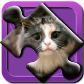 Cute Cats Puzzle