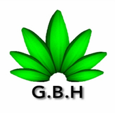 G B H Chat icon