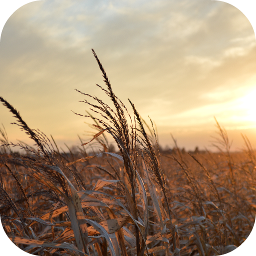 Farming Wallpapers icon