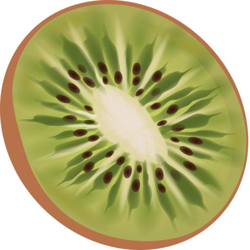 Kiwi VPN icon