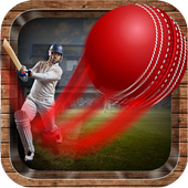 Onegame Cricket 2019 icon