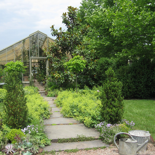 Kingdom Plantae icon