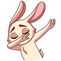 🐰 Best Cute & Funny Rabbit Sticker For Whatsaap