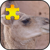 Camel Jigsaw Puzzles Game icon