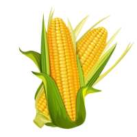 CropWISE on 9Apps