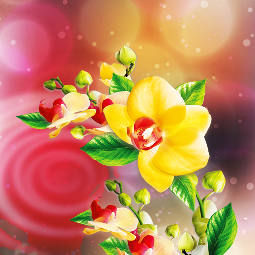 Water Drops Live Wallpaper أيقونة