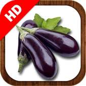 Vegetables Learning on 9Apps