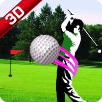 Top Real Star Golf Master 3D