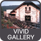Vivid Gallery icon