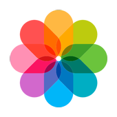 Обои на телефон иконка