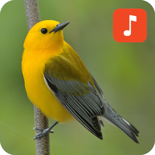 Warbler bird Ringtones icon