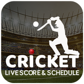 Live Cricket Score 2018 icon