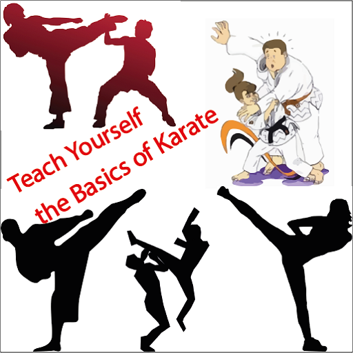 Teach Yourself the Basics of Karate icon