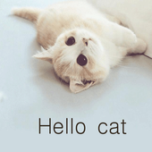 Hello cat icon