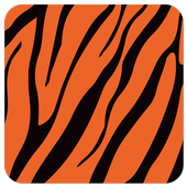 Banglalink Info 3G icon