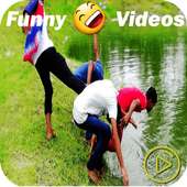 New Funny Videos Status