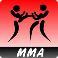 MMA training system