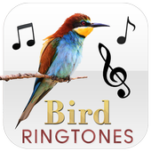 Bird Morning Ringtones icon