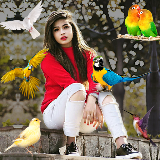 Birds Photo frame : Bird photo editor icon