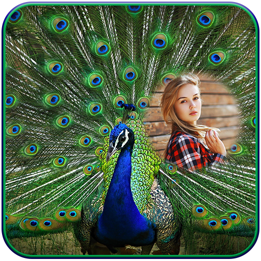 Peacock Photo Frames أيقونة