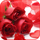 Red Rose Photo Frames HD Collection Photo Editor icon