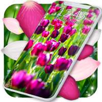 Spring Petals Live Wallpaper on 9Apps