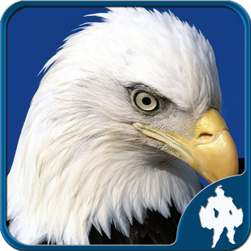 ikon Birds Jigsaw Puzzles Game