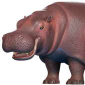 Hippo 3D icon